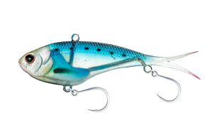 Sardine